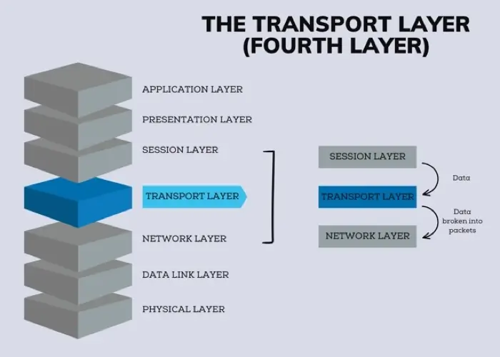 Illustration of the position of the transport layer in the OSI