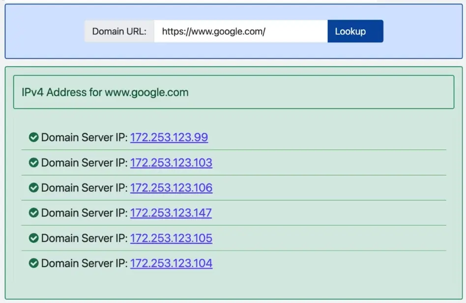 screenshot of DNS lookup tool with results